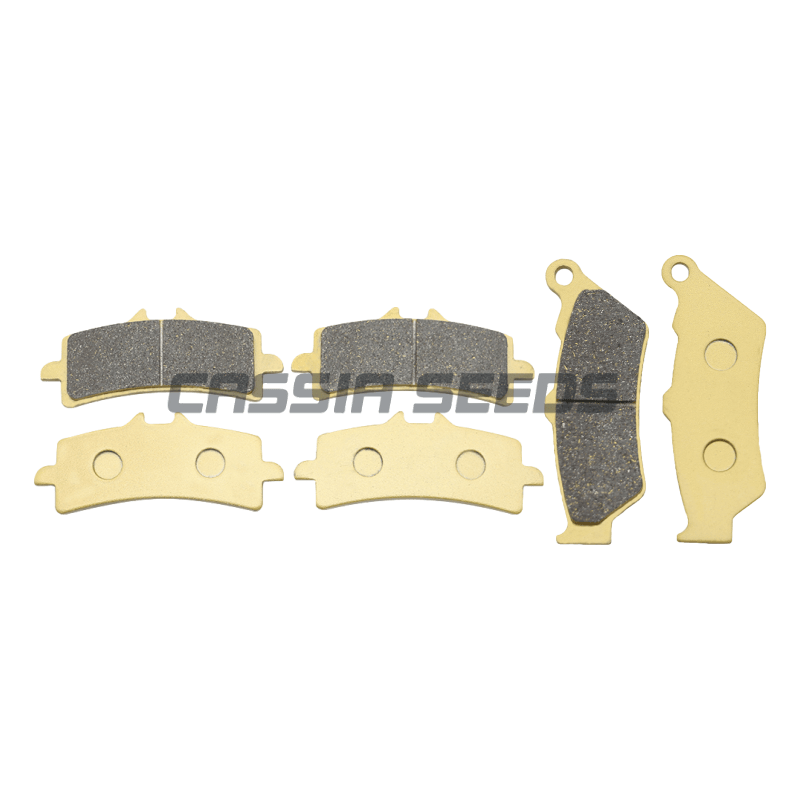 MOTORCYCLE FRONT AND REAR BRAK - Carbon Ceramic Motorcycle Brake Rotor review and price